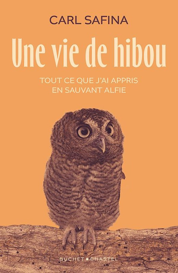 Une vie de hibou. Tout ce que j'ai appris en sauvant Alfie