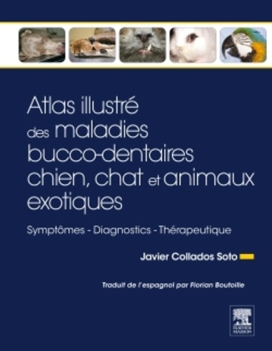 Atlas illustré des maladies bucco-dentaires chien, chat et animaux exotiques. Symptômes, diagnostics