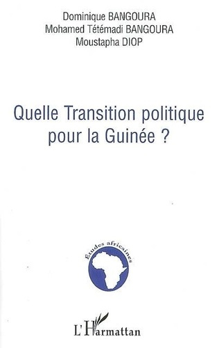 Quelle transition politique pour la guinée?