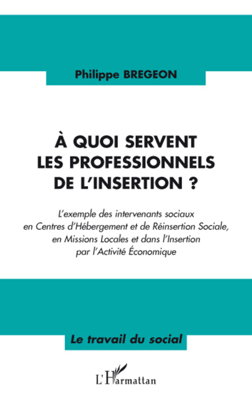 A quoi servent les professionnels de l'insertion ?