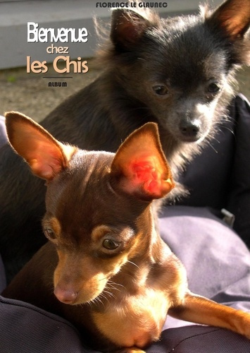 Bienvenue chez les chis. Jana et Joy