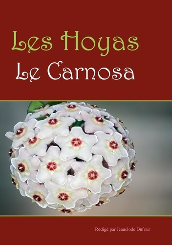 Les hoyas. Les carnosas