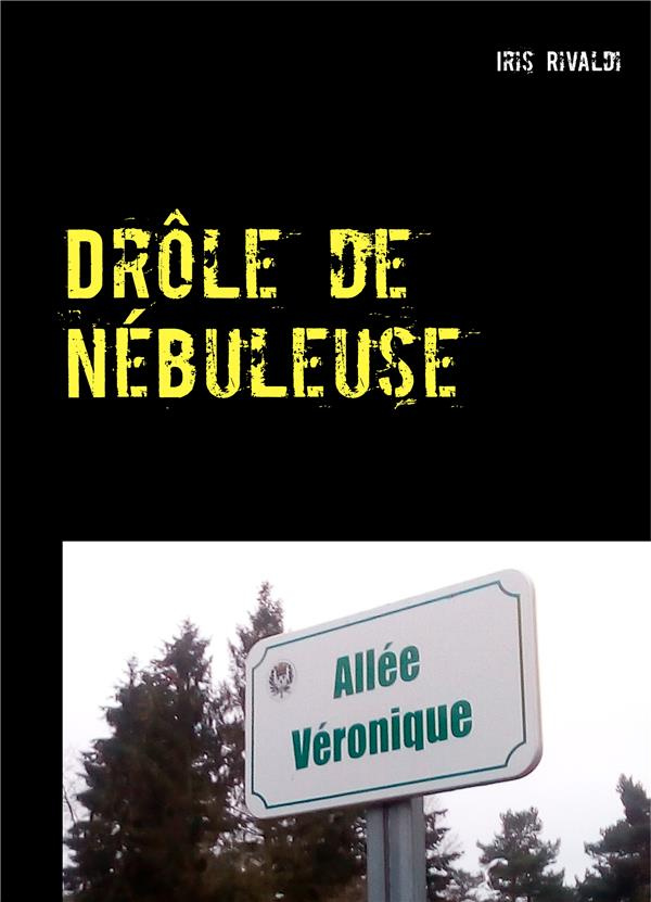 Drôle de nébuleuse. Les aventures du commissaire Paul Berger