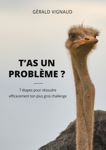 T'as un problème ? 7 étapes pour résoudre efficacement ton plus gros challenge