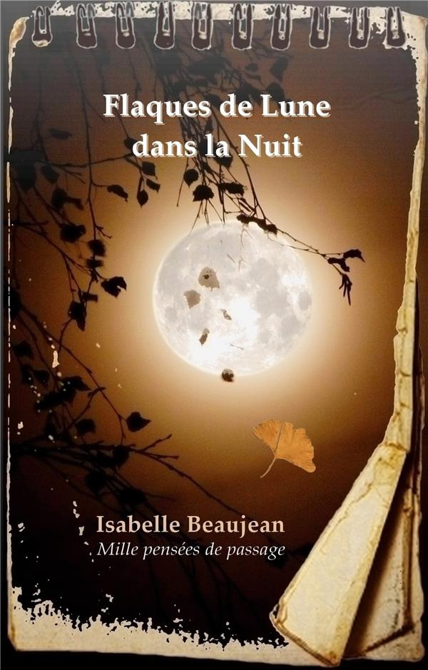 Flaques de Lune dans la Nuit. Mille pensées de passage