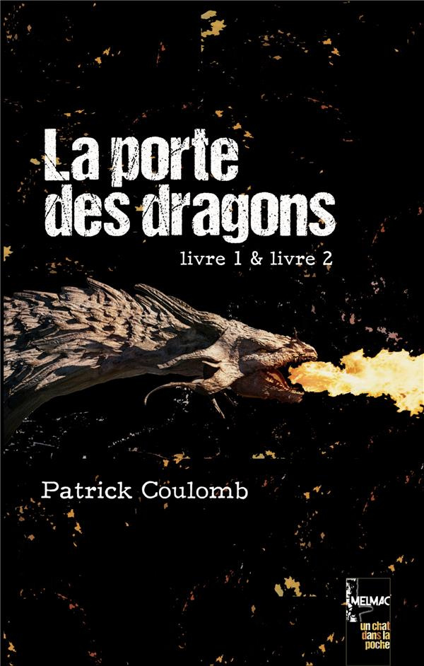 Un chat dans la poche Tomes 1 et 2 : La porte des dragons