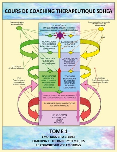 Analyse des systèmes et gestion des émotions. Coaching thérapeutique SDHEA