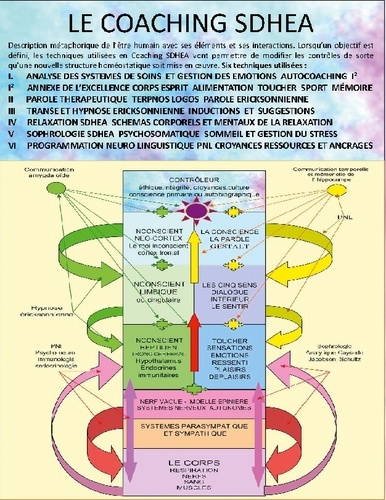 Cours de coaching therapeutique sdhea