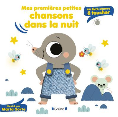 Mes premières petites chansons dans la nuit. Un livre sonore à toucher