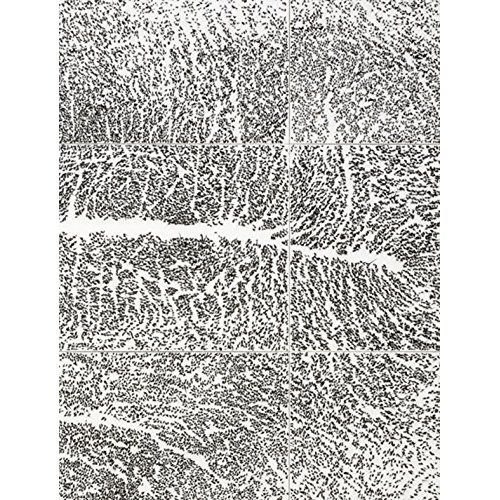 Giuseppe Penone. Edition bilingue français-anglais