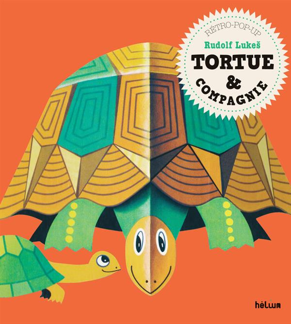 Tortue & compagnie