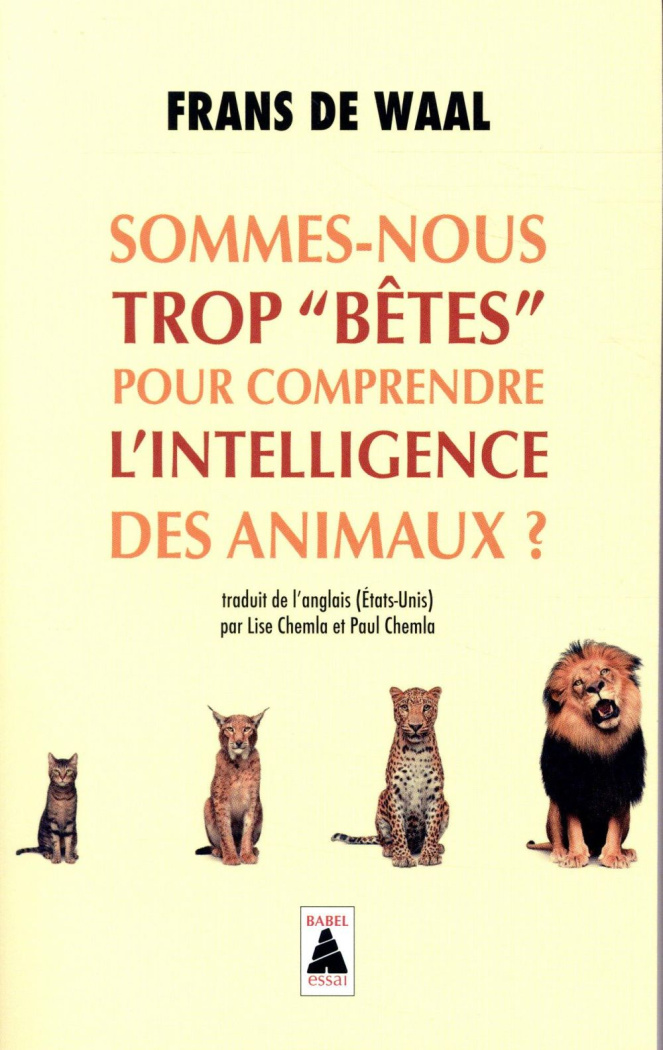 Sommes-nous trop "bêtes" pour comprendre l'intelligence des animaux ?