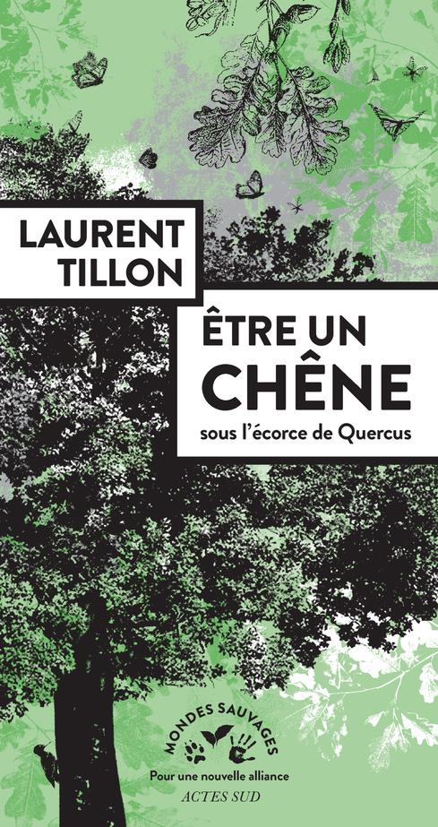 Être un chêne, sous l'écorce de Quercus