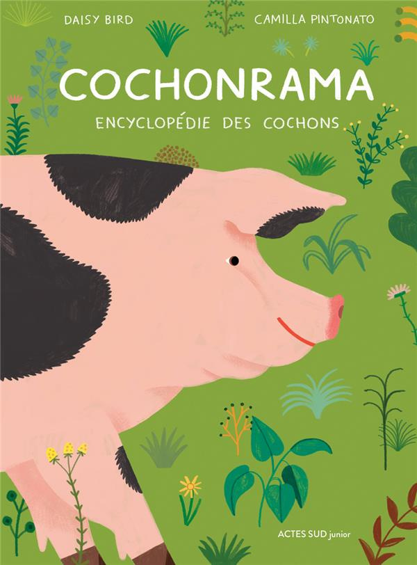 Cochonrama. Encyclopédie des cochons
