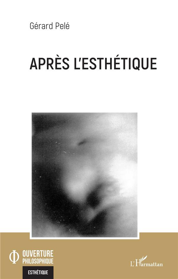 Après l'esthétique