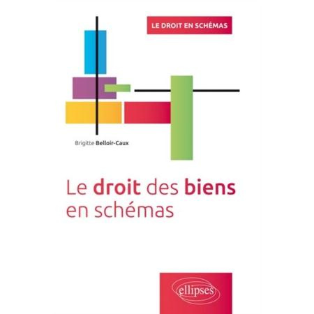 Le droit des biens en schémas