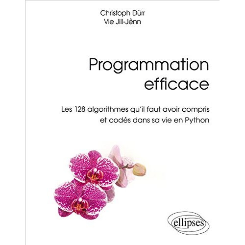 Programmation efficace. Les 128 algorithmes qu'il faut avoir compris et codés en Python au cours de