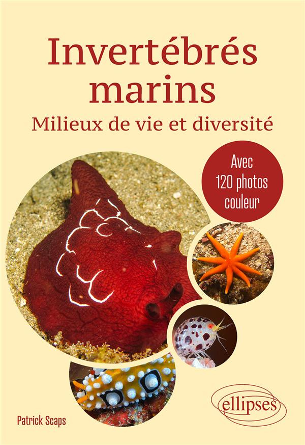 Invertébrés marins. Milieux de vie et diversité