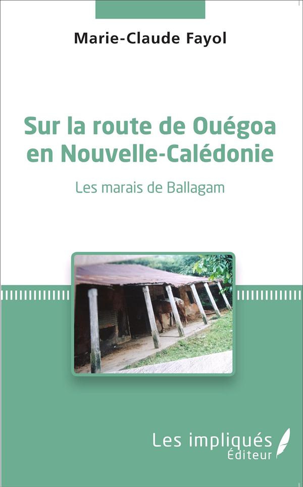 Sur la route de Ouégoa en Nouvelle-Calédonie