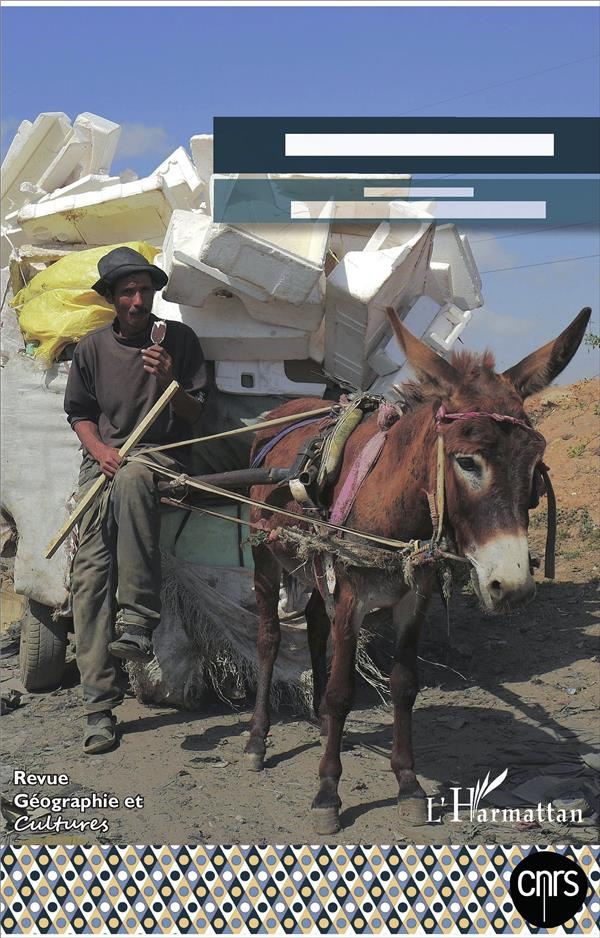 Géographie et Cultures N° 98-99, été-automne 2016 : Les indésirables