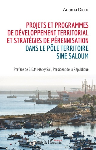 Projets et programmes de développement territorial et stratégies de pérennisation dans le pôle terri
