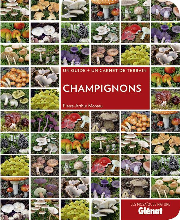 Champignons