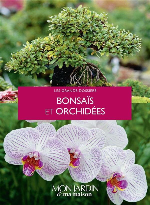 Bonsaï et orchidées