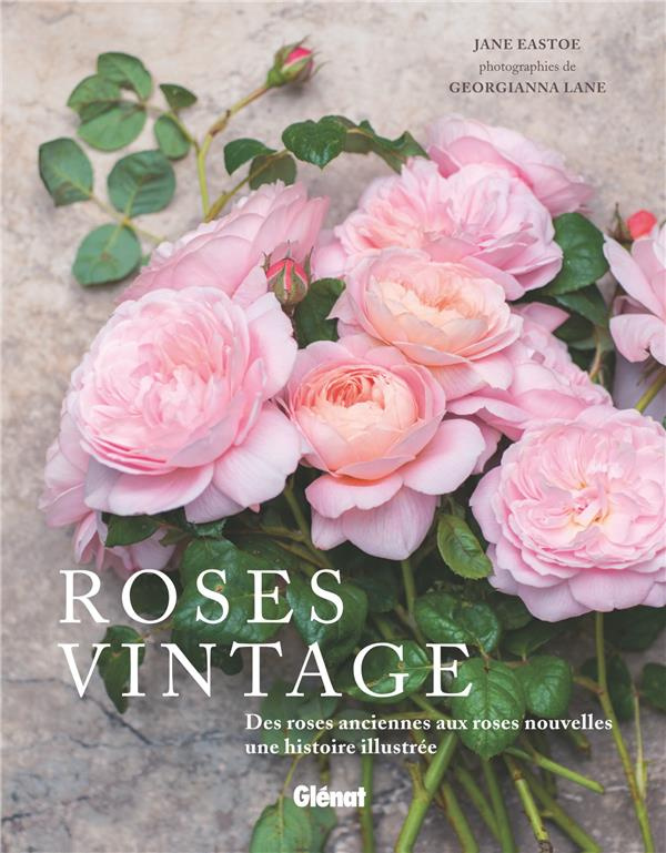Roses vintage