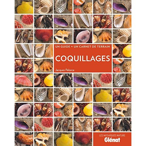 Coquillages. Un guide   un carnet de terrain