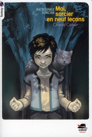 Incroyable sorcier : Moi, sorcier en 9 leçons