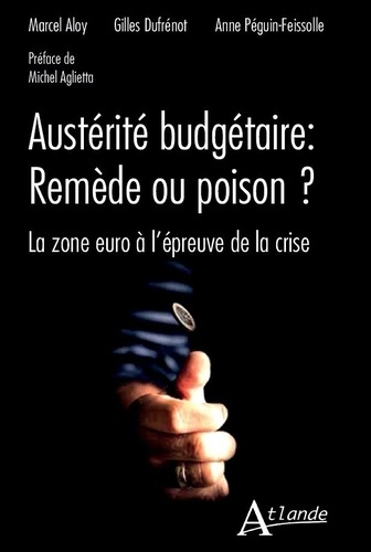 Austérité budgétaire : remède ou poison ? La zone Euro à l'épreuve de la crise
