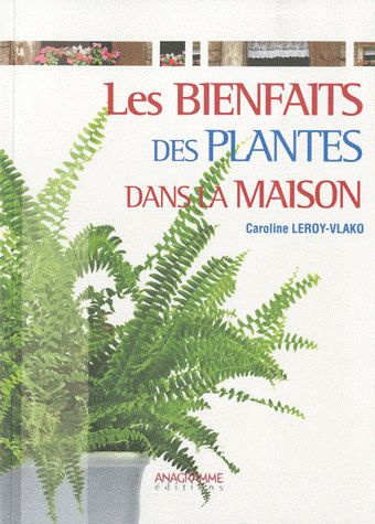Les bienfaits des plantes dans la maison