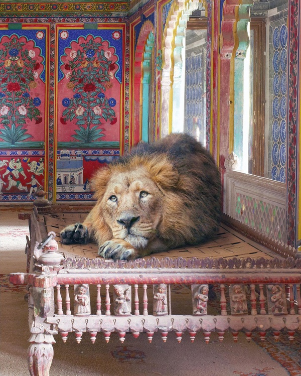 Fables et autres contes