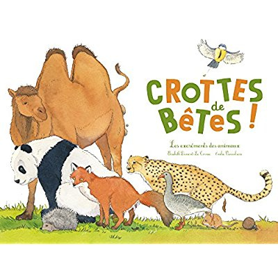 Crottes de bêtes ! Les excréments des animaux