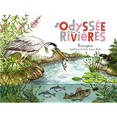 L'odysée des rivières