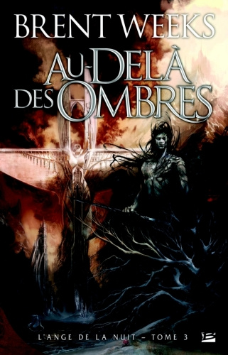 L'ange de la nuit Tome 3 : Au-delà des ombres