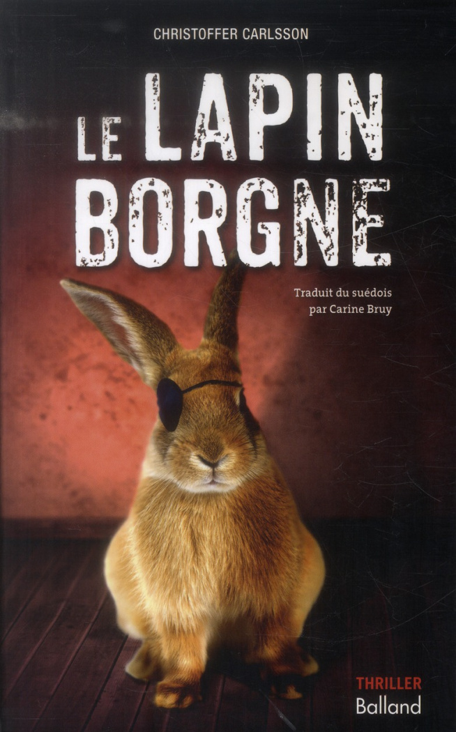 Le lapin borgne