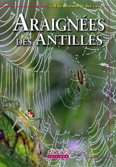 Araignées des Antilles