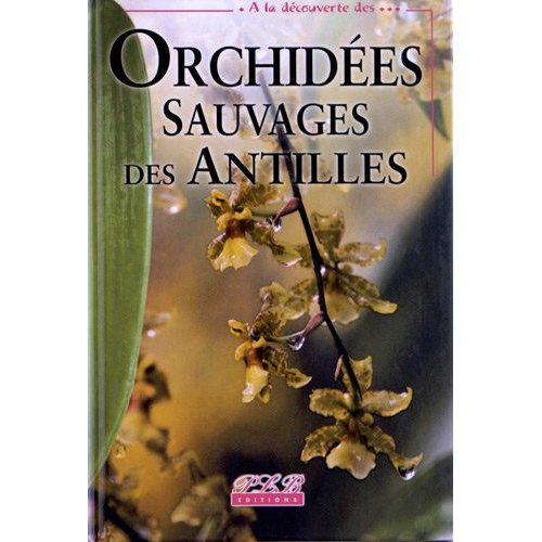 Orchidées sauvages des Antilles