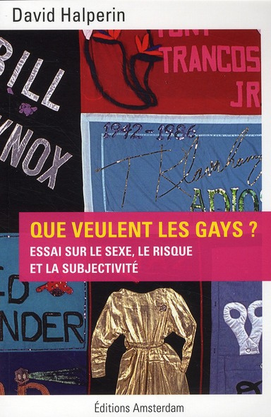 Que veulent les gays ? Essai sur le sexe, le risque et la subjectivité