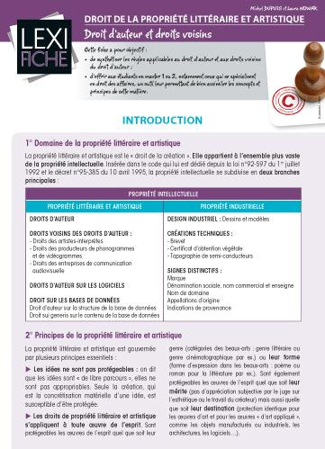 Droit de la propriété littéraire et artistique. Droits d'auteur et droits voisins