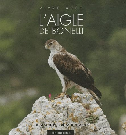 Vivre avec l'aigle de Bonelli