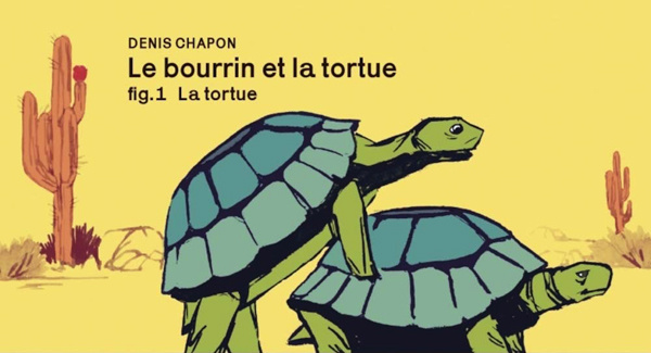 Le bourrin et la tortue
