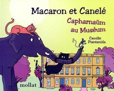 Macaron et Canelé : Capharnaüm au Muséum