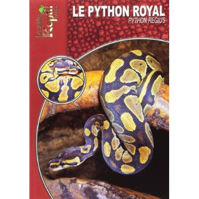 Le python royal. Python Regius