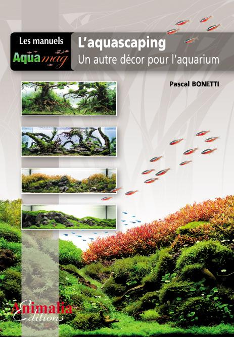 L'aquascaping. Un autre décor pour l'aquarium
