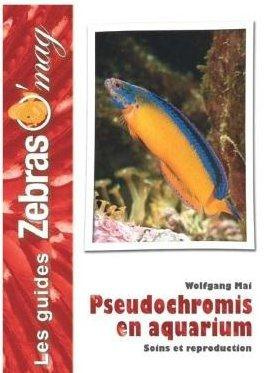 Pseudochromis en aquarium. Soins et reproduction
