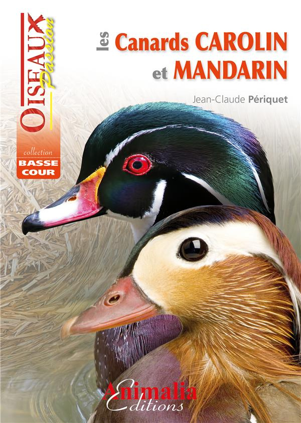 Les canards carolin et mandarin