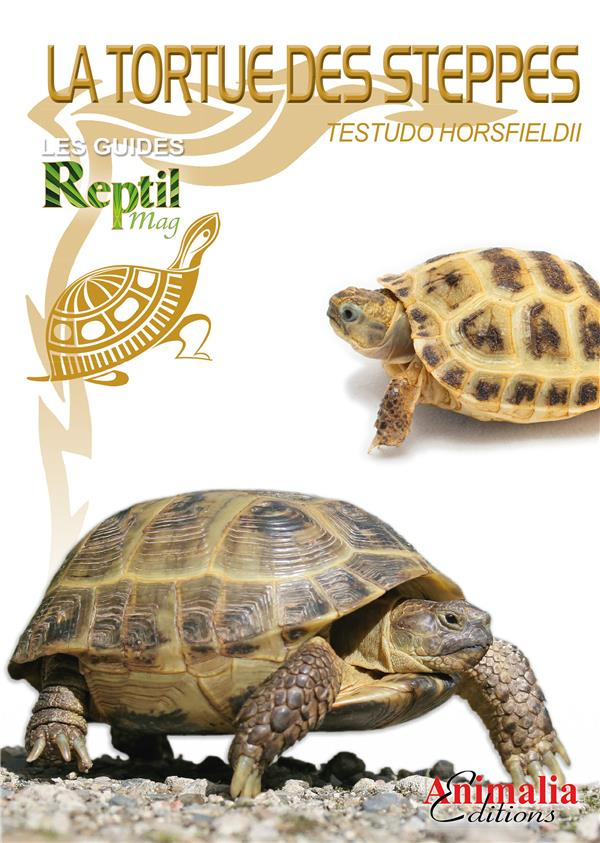 La tortue des steppes. Testudo horsfieldii
