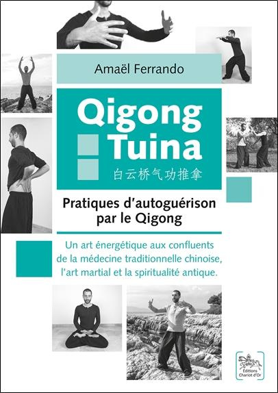 Qigong Tuina : Pratiques d'autoguérison par le Qigong . Un art énergétique aux confluents de la méde